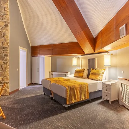 Mirada Del Hotel Erciyes